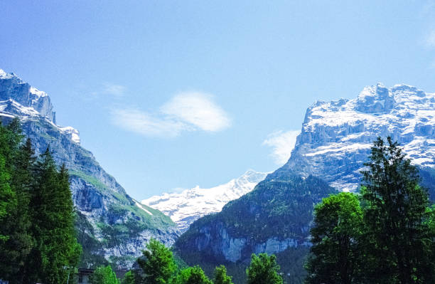 Swiss Alps stock photo