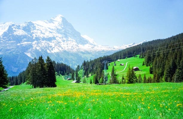 istock Gimmelwald and Swiss Alps 1452564553