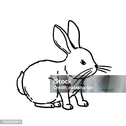 istock Vector coloring book illustration. Cute Hand Drawn Bunny isolatet on wite background 1452565842