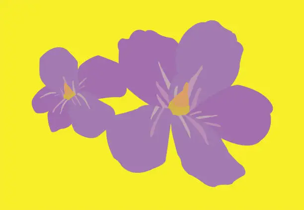 Vector illustration of Violet flower