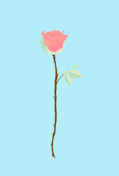 Vector illustration of pink rose