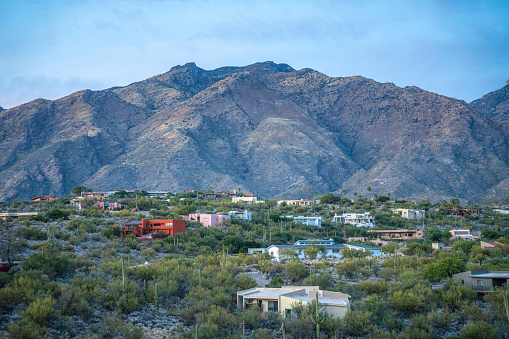 Residential house buildings surrounded by saguaro cactus at Tucson, Arizona. Mountainside suburban neighborhood with wild desert plants.