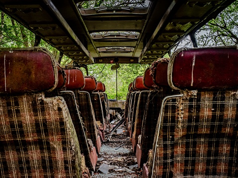 The abandoned seats on a rusted bus in a forest