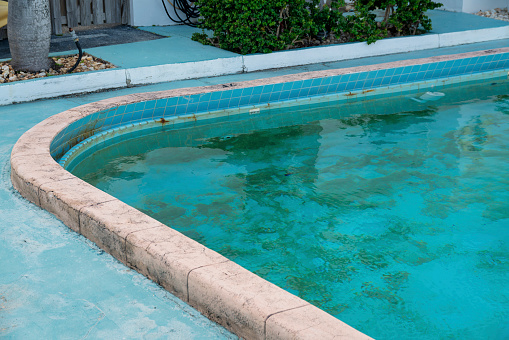 Dirty private pool with curved corner in Miami, Florida. Corner of a pool with rust above the water with algae stains and a view of bush plant at the back.
