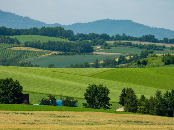 istock Summer on a series of hills 1452575504