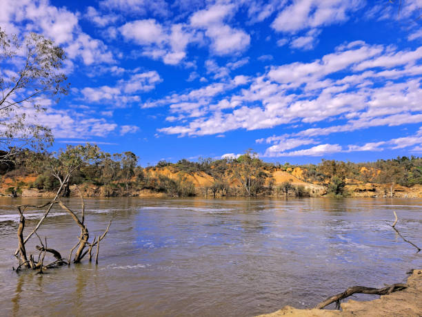 Euston,  New South Wales, Australia Murray River running on by river cliffs in the Mallee Country murray darling basin stock pictures, royalty-free photos & images