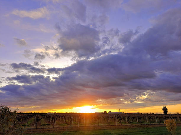 istock Euston,  New South Wales, Australia 1452576520