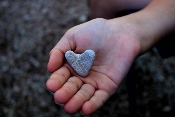 Caucasian child hand holding A heart shaped stone