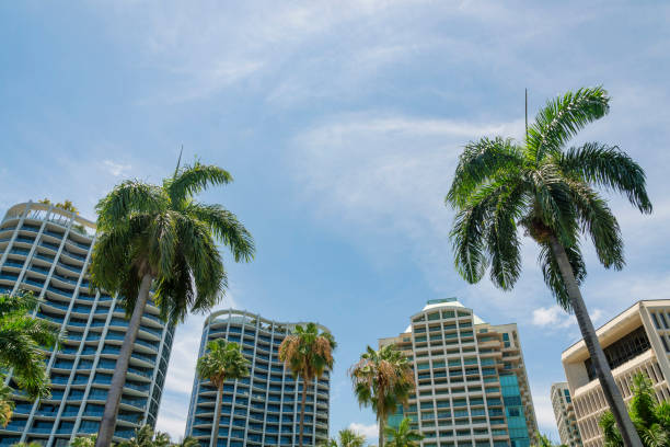 istock Palm trees against the multi-storey buildings in a low angle view at Miami, Florida 1452578401