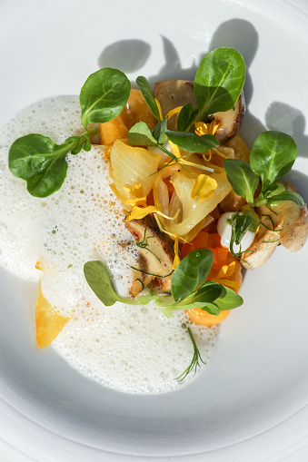 Vegetarian Michelin star gourmet dish with ravioli, chanterelle mushrooms and salad garnish