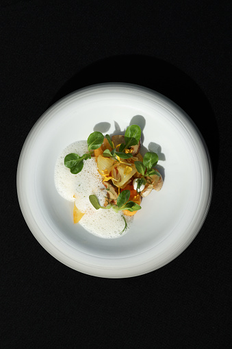 Vegetarian Michelin star gourmet dish with ravioli, chanterelle mushrooms and salad garnish