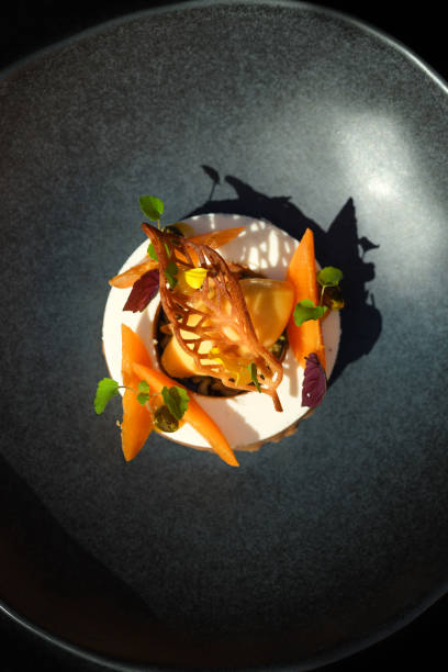 Michelin star gourmet dessert with peaches, ice cream sorbet, panna cotta and chocolate stock photo