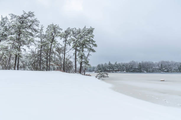 istock Winter landscape fresh snow covered trees and lake 1452585391