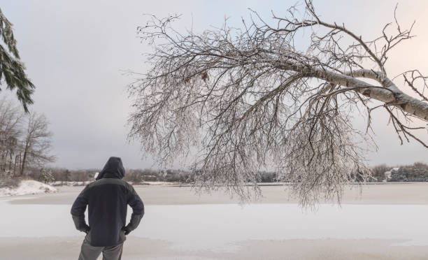 istock Winter landscape fresh snow covered trees and lake 1452585402