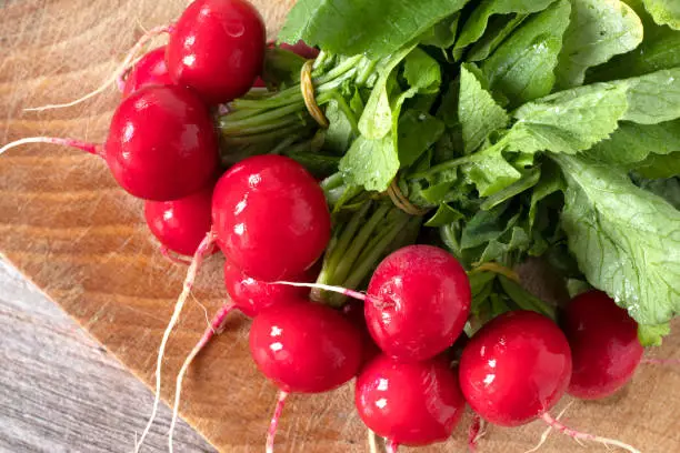 Bunch of fresh red radishes on wooden table. A closeup. Ripe organic root vegetables for salad.