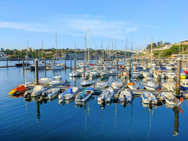 Motorboats and yachts moored by pier in marina, Arrabida bridge in background, cityscape of Porto, Portugal