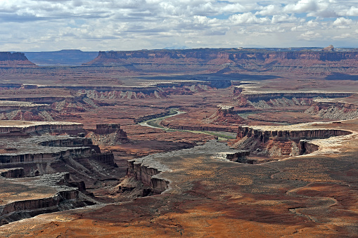 Canyons and Buttes Carved By the Green River in Canyonlands National Park in Utah
