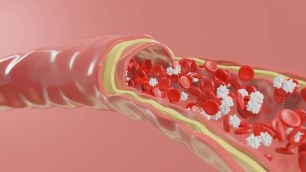 istock Blood cells in a vein. Blood flow. 1452589293