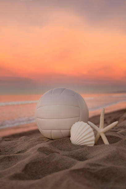 istock Beach Volleyball at Sunrise by the Ocean with seashell and Starfish 1452591837