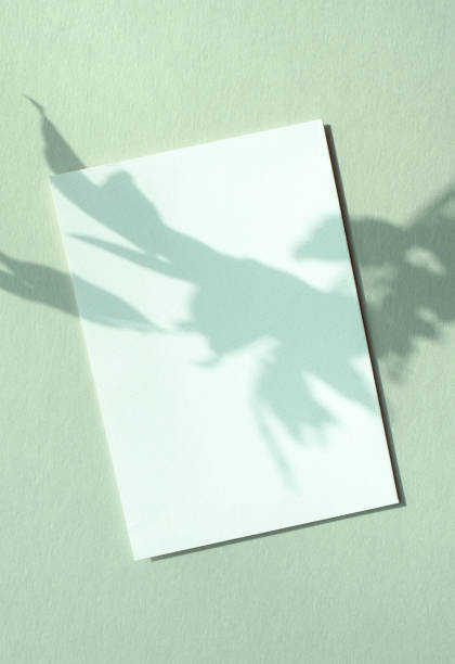 istock Plant Shadows and Cards Mock-up 1452594693