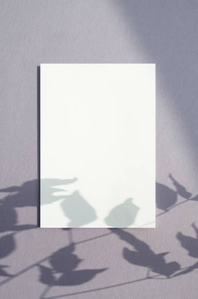 istock Plant Shadows and Cards Mock-up 1452594694