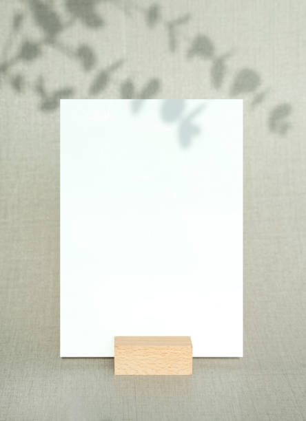 Plant Shadows and Cards Mock-up