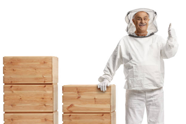 Bee keeper standing with wooden boxes and gesturing thumbs up isolated on white background