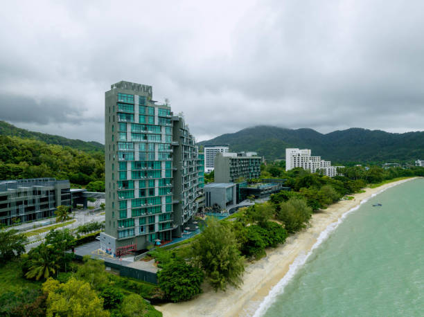 istock Lush Greenery in Tropical Jungle Forest Penang Island Malaysia 1452606323