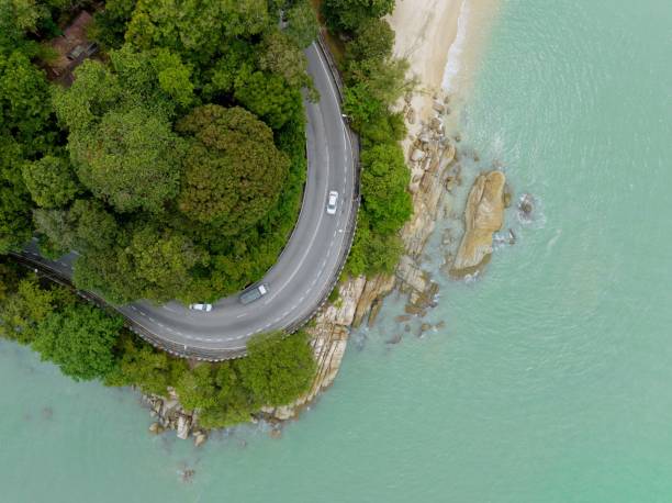 istock Lush Greenery in Tropical Jungle Forest Penang Island Malaysia 1452606344