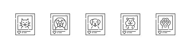 illustrations, cliparts, dessins animés et icônes de 5 icônes de blogueurs pour animaux de compagnie. chat, chien et hamster. contour au pixel près, modifiable - purebred cat illustrations