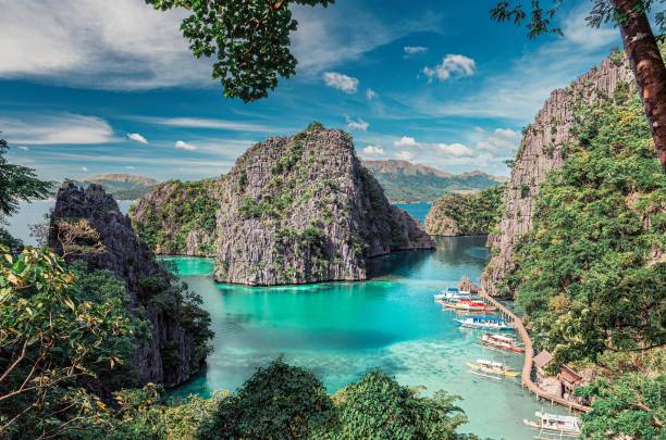istock The Kayangan Lake, Coron, Palawan, Philippines 1452613908
