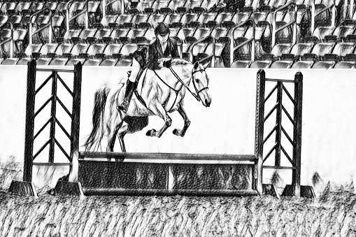 Horse Show Jumping event . Arabian Horse.