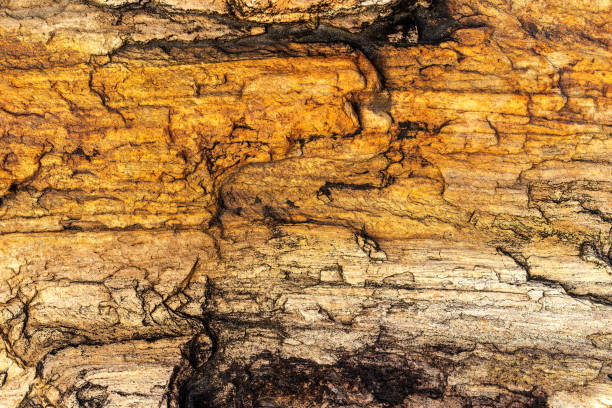 istock Rustic stones, corroded textures, colorful and interesting backgrounds and charming textures, used for web design and abstract backgrounds 1452620843