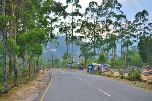 istock A road passing through forested areas in Munnar, Kerala. 1452621623