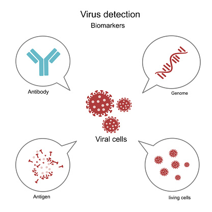 The icon concept of importance biomarkers (Antibody,Antigen, Genome: RNA or DNA and living cells) for virus detection to infectious diagnosis or science research