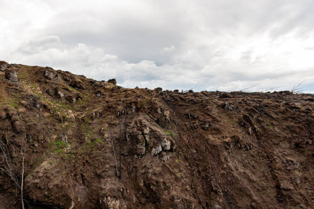 istock the scene after the volcanic ash disaster of Mount Merapi erupted, selective focus 1452622649