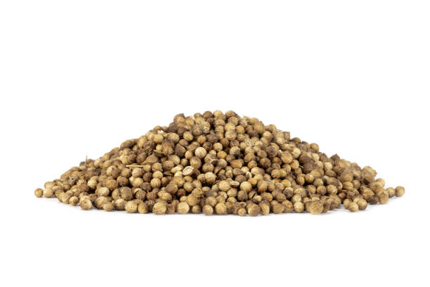Pile of Organic Dried coriander seeds (Coriandrum sativum) isolated on white background. Pile of Organic Dried coriander seeds (Coriandrum sativum) isolated on white background. coriander seed stock pictures, royalty-free photos & images