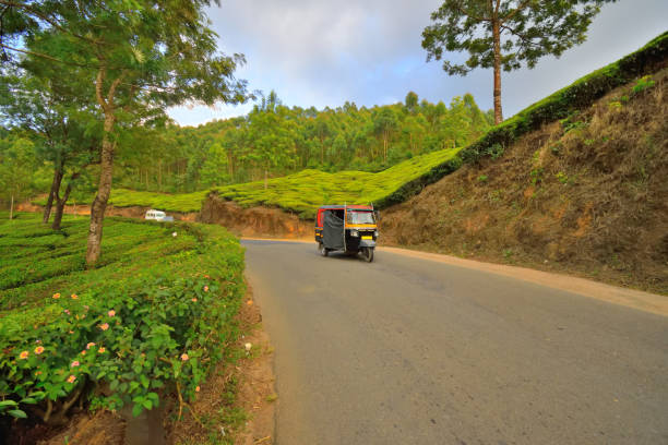 istock An auto rickshaw travelling in the road surrounded by tea gardens. 1452623359