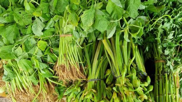 istock a few bunches of fresh greens 1452624157