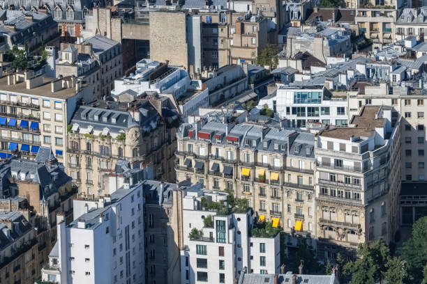 istock Paris, aerial view, ancient buildings 1452625789