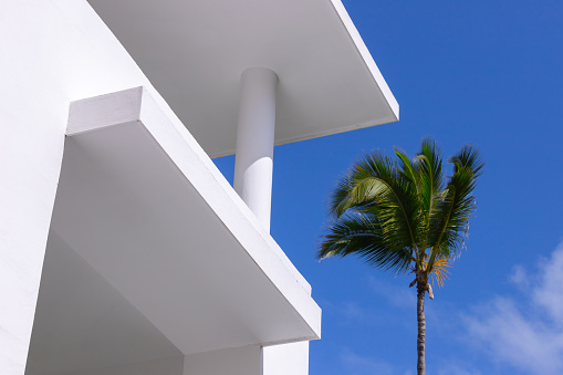 Abstract minimal architecture background with white concrete building exterior and palm tree under blue sky on a sunny day