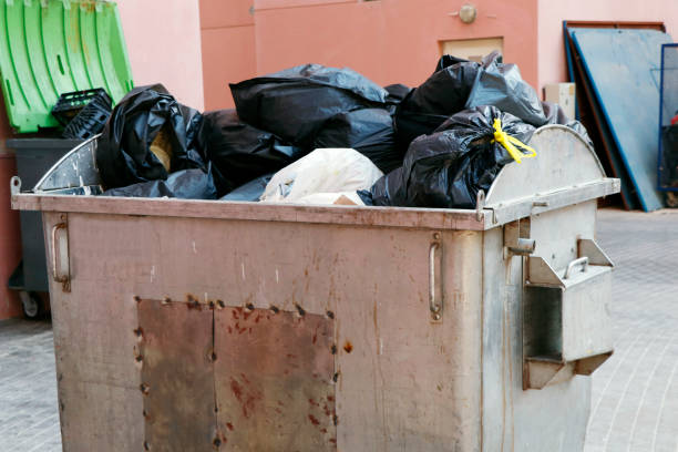 istock waste management system in public perspective. huge rubbish bin for garbage 1452629323