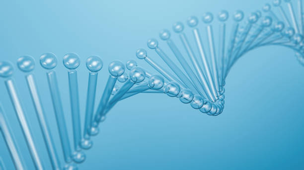3d glass DNA stock photo