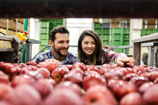 istock The food industry inspectors checking on apples quality. 1452632556