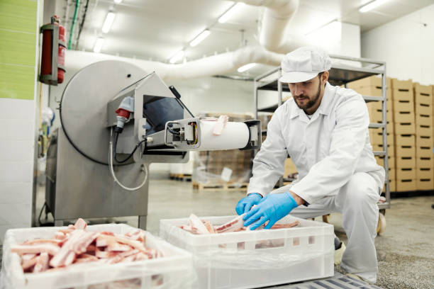 istock A meat industry worker works with bacon on a conveyor belt. 1452633273