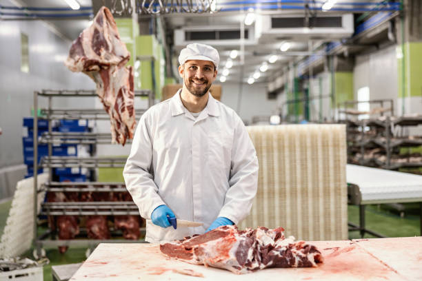A butcher is working with raw meat in meat factory. stock photo