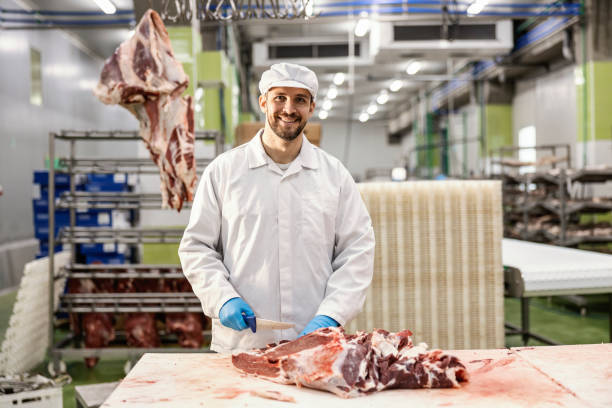 a butcher is working with raw meat in meat factory. - butchers shop imagens e fotografias de stock