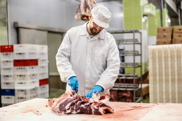 istock A meat factory worker is cutting raw meat into pieces with sharp knife. 1452634284