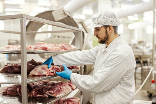A meat industry worker is taking fresh piece of meat and preparing it for further processing.
