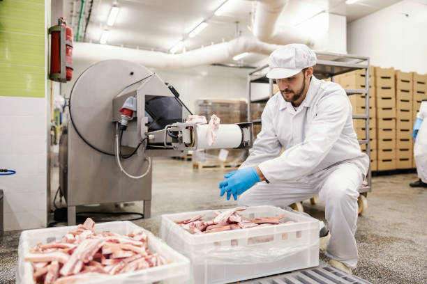 istock A meat industry worker is crouching next to a conveyor belt and doing final quality control. 1452634315